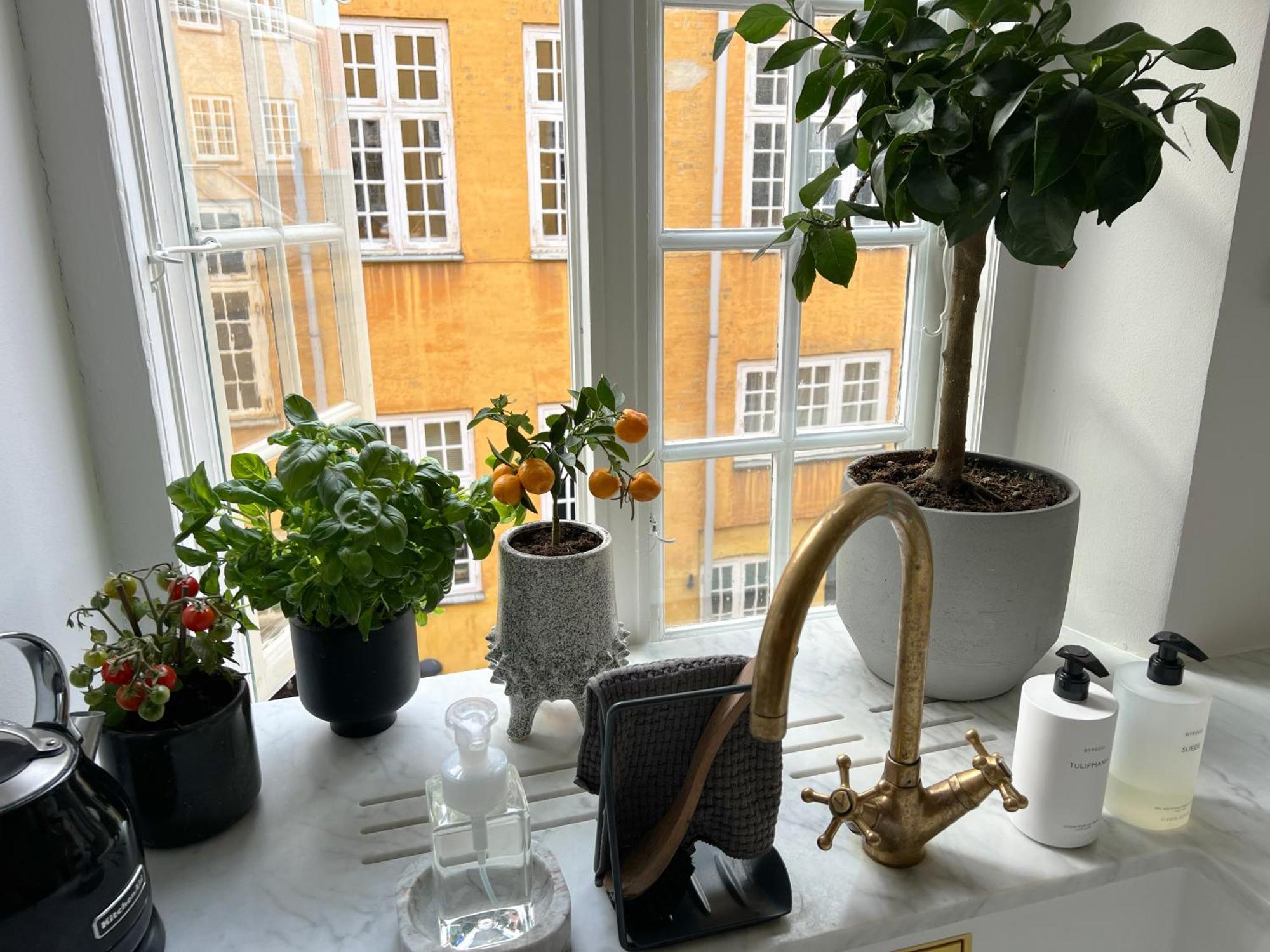 240m2 NEW Luxury Best Located Apartment In Cph Copenhague Extérieur photo